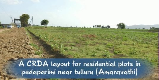 Amaravati plots in Pedhaparimi All 40 FT Roades