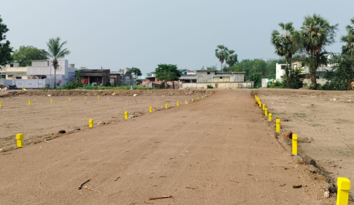 WhatsApp Image 2025-10-24 at 6.14.59 PM (3)