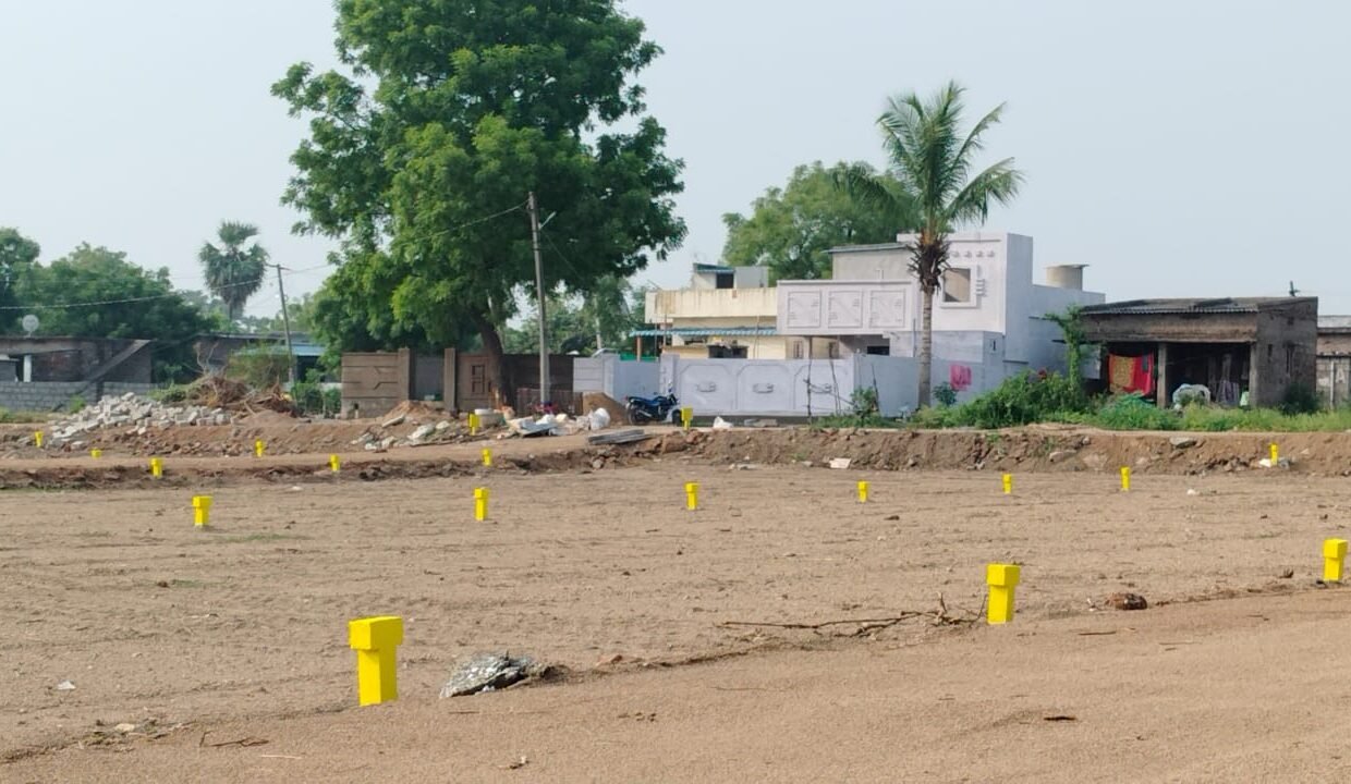 WhatsApp Image 2025-10-24 at 6.14.59 PM (4)