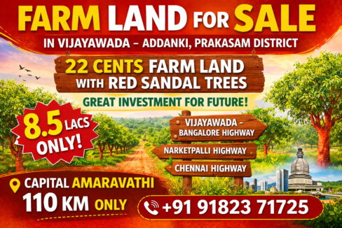 22 cents farm land for sale near Vijayawada in Addanki Prakasam District with Red Sandal trees investment land near Amaravati