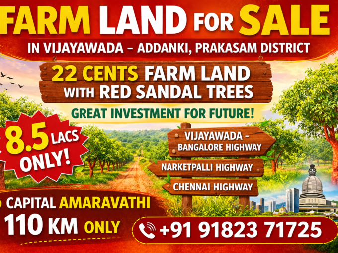 22 cents farm land for sale near Vijayawada in Addanki Prakasam District with Red Sandal trees investment land near Amaravati
