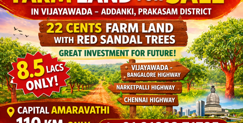 22 cents farm land for sale near Vijayawada in Addanki Prakasam District with Red Sandal trees investment land near Amaravati