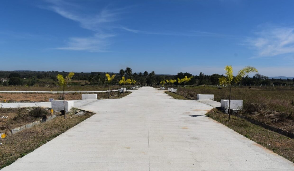 ORAIYAN DREAM CITY 1